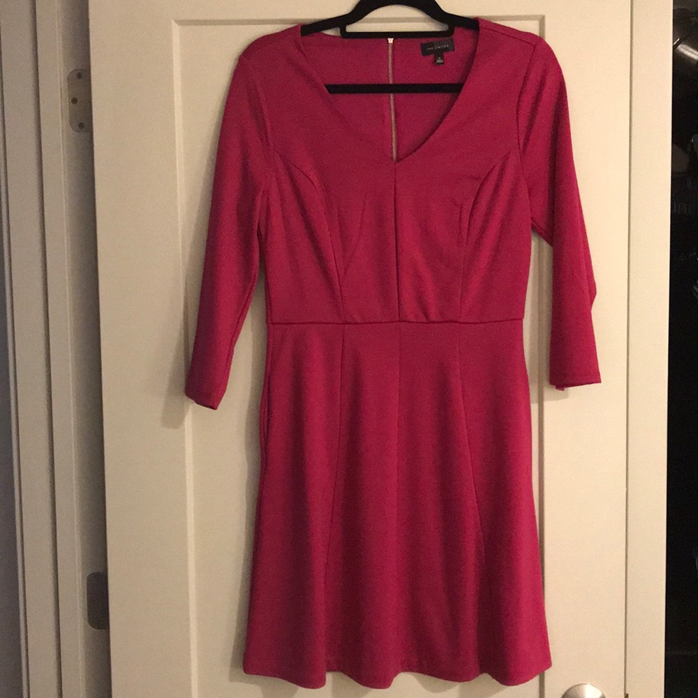 The Limited A line dress.